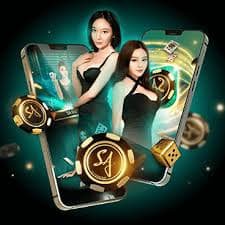myn66 Live Casino နှင့် Sportsbook ပလက်ဖောင်း